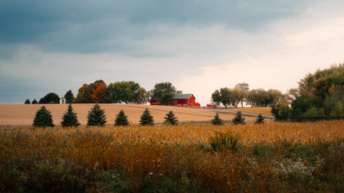 Scenic view of Midwest country farmland in Union, IL during autumn harvest