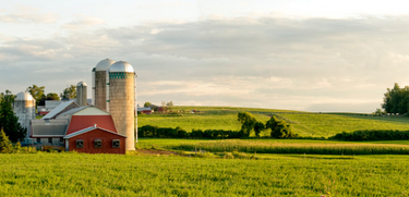 Rurral Report Mobile Banner